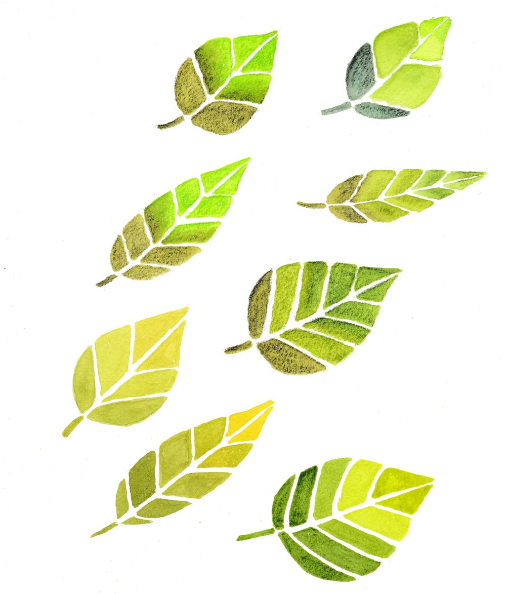 Gill's Patterns | Skillshare Student Project