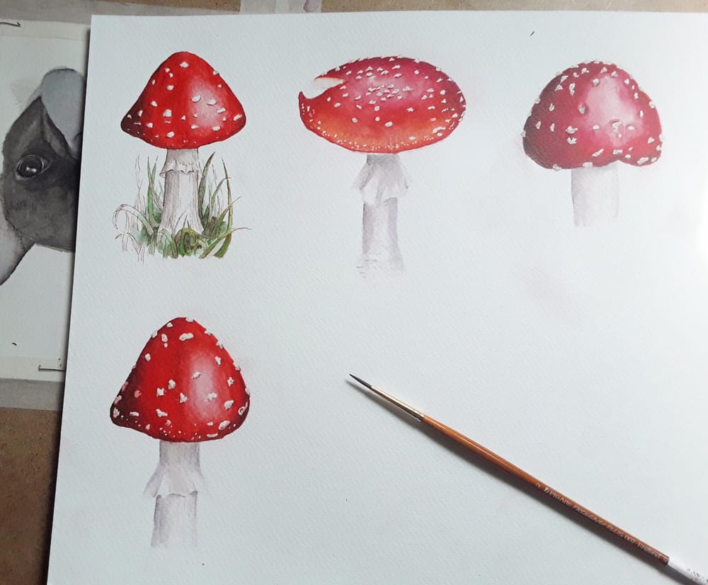 The perseverance paid off! - image 2 - student project