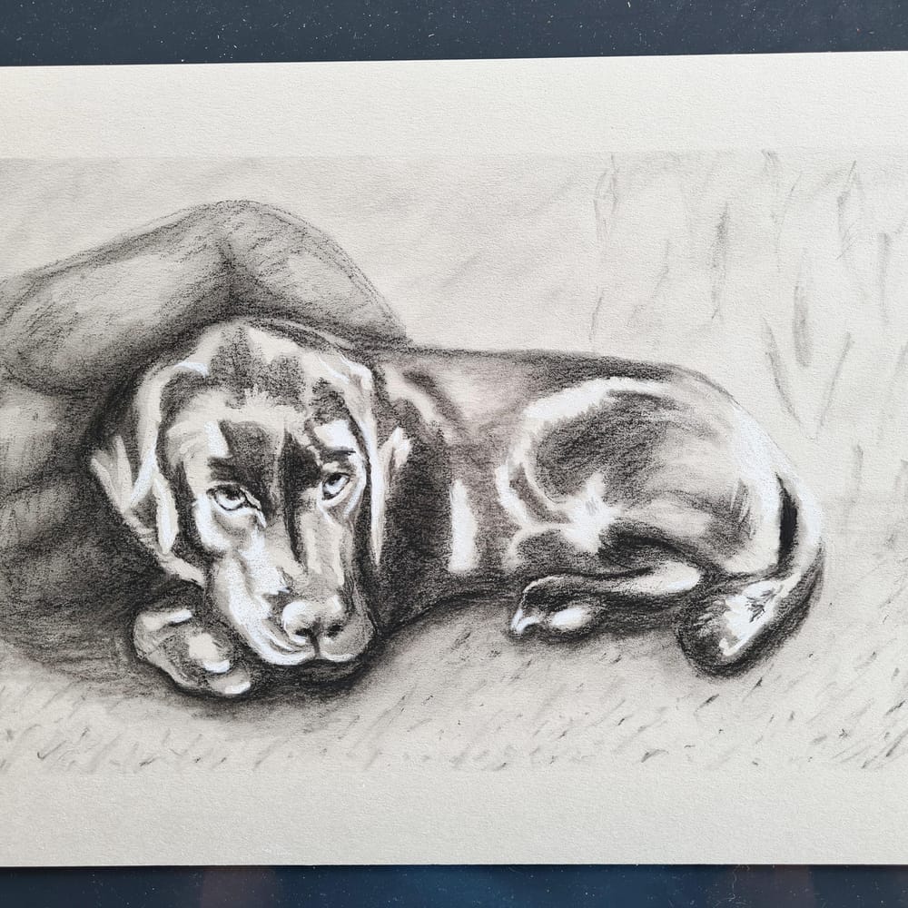 A different puppy - image 1 - student project