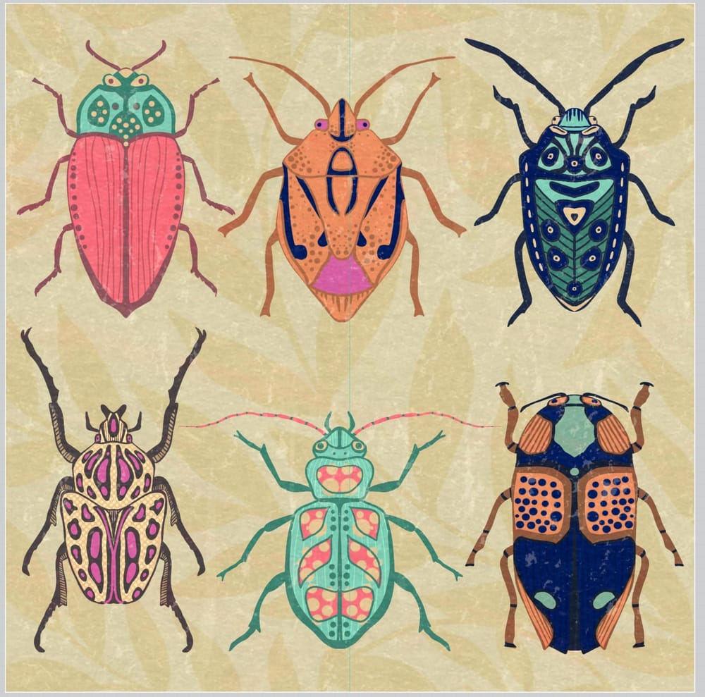 Moths and Bugs - image 2 - student project