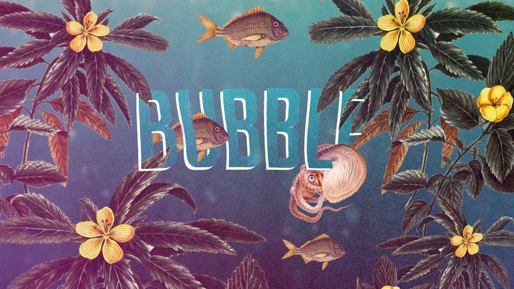 Bubbles - image 1 - student project