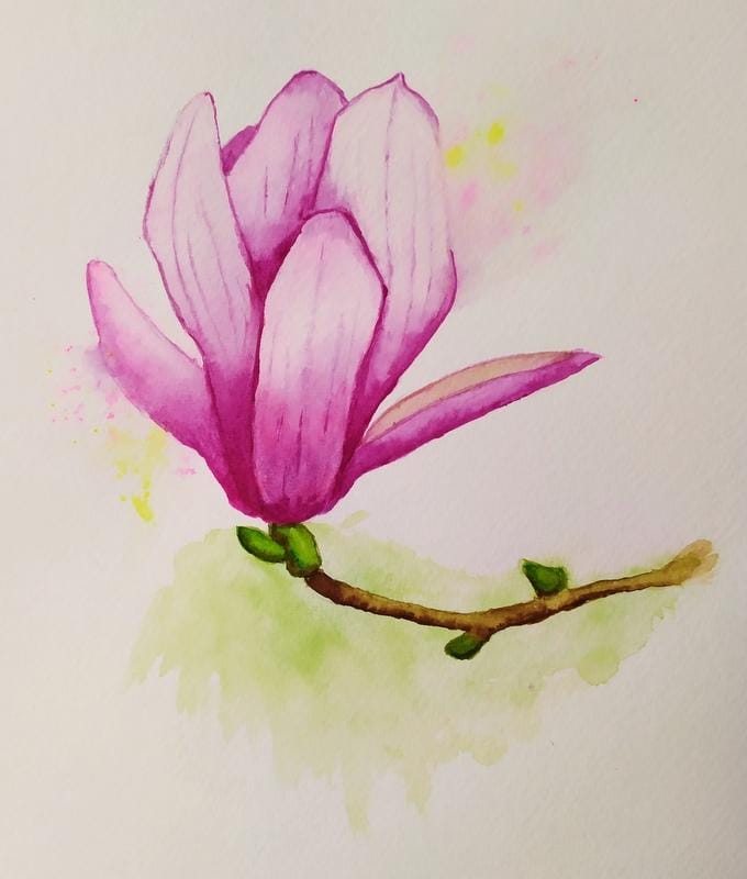 Magnolia - image 1 - student project