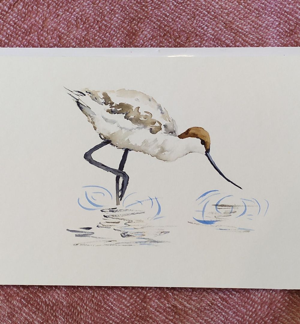 Less is more - Avocet Watercolour - image 1 - student project