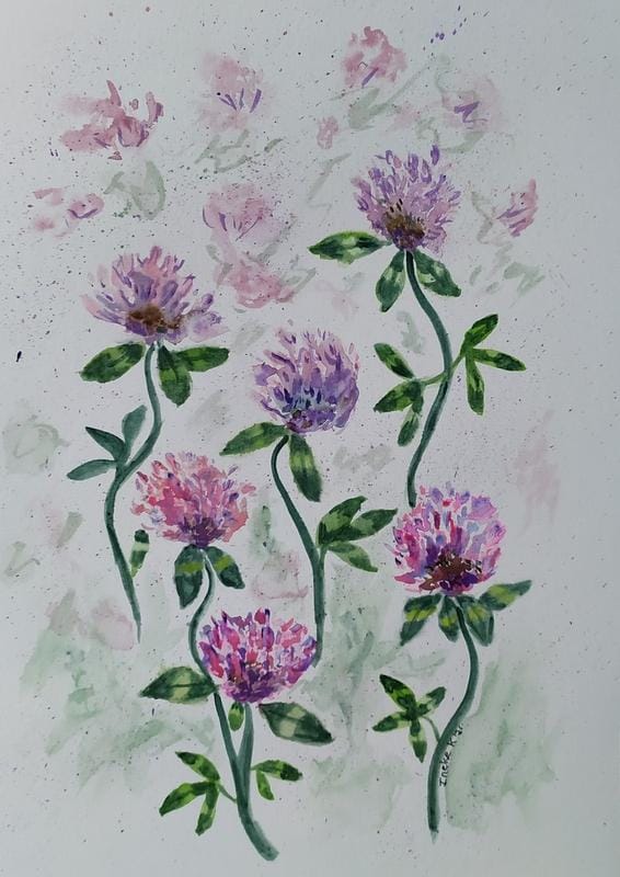 Clover - image 1 - student project
