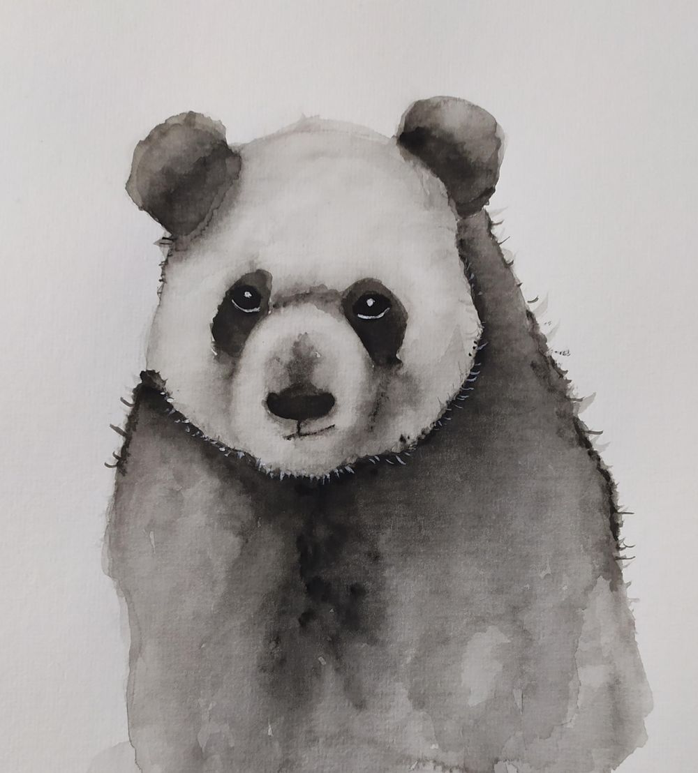 Panda - image 1 - student project