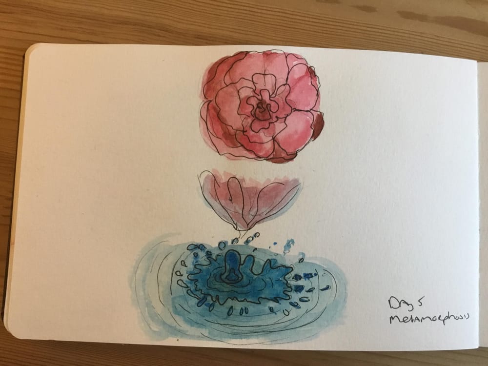 14 day draw challenge - image 1 - student project