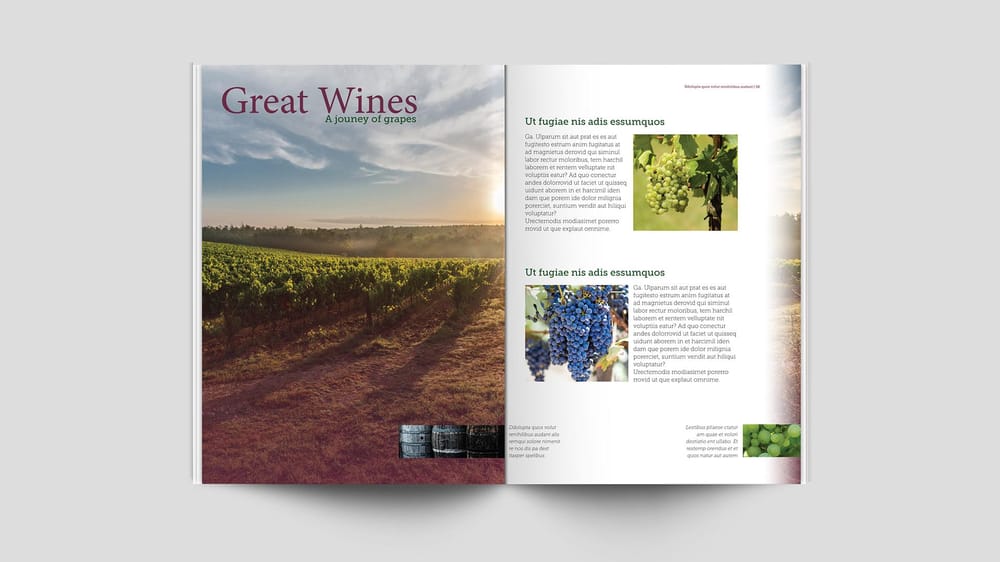Great Wines - Magazine Spread - image 1 - student project