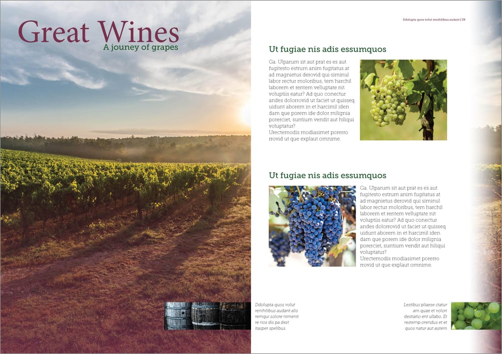 Great Wines - Magazine Spread - image 2 - student project