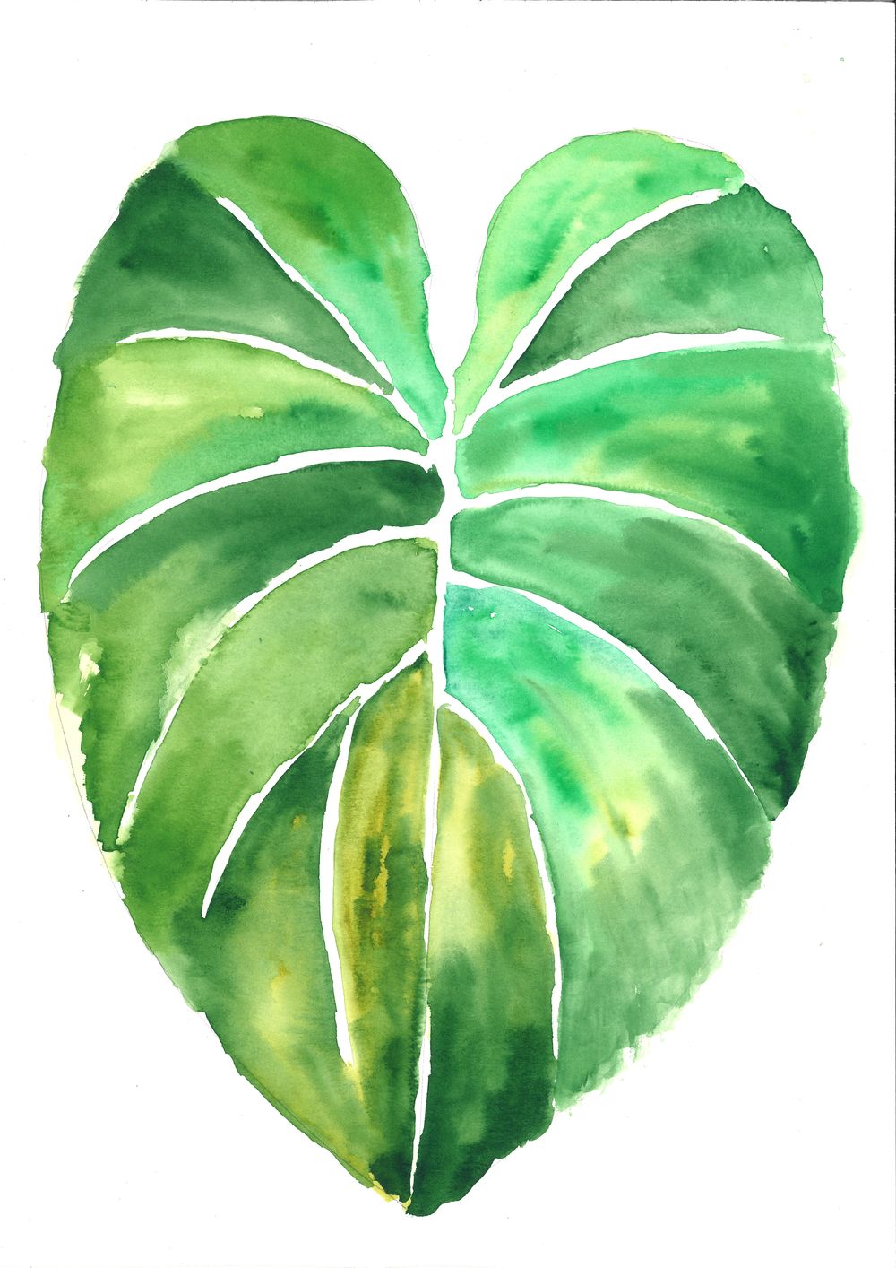 Tropical philodendron - image 1 - student project
