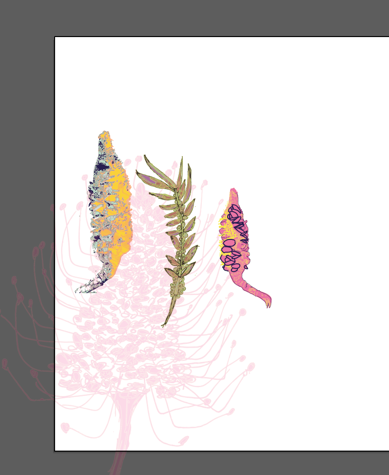 Australian Bush Florals - image 9 - student project