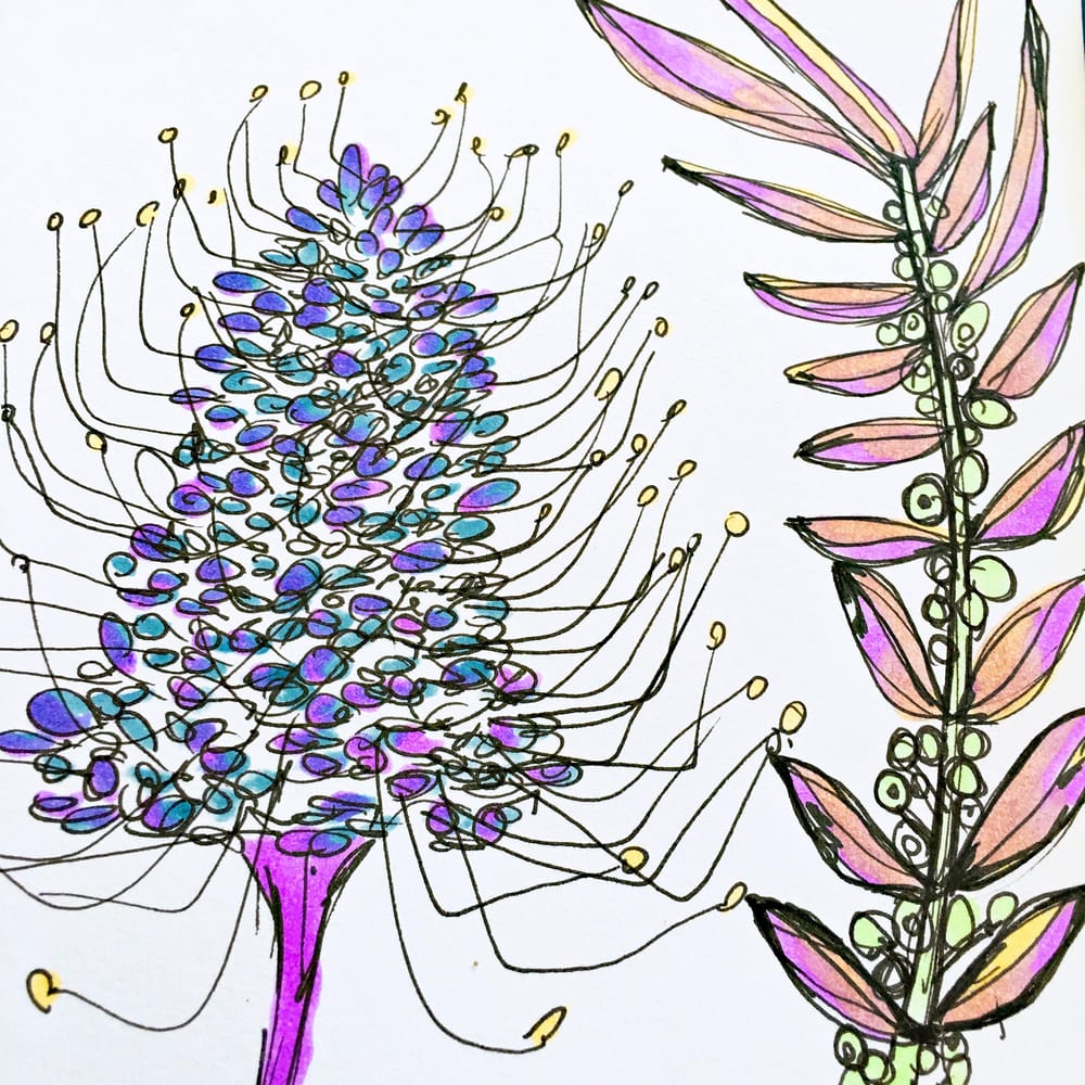 Australian Bush Florals - image 3 - student project