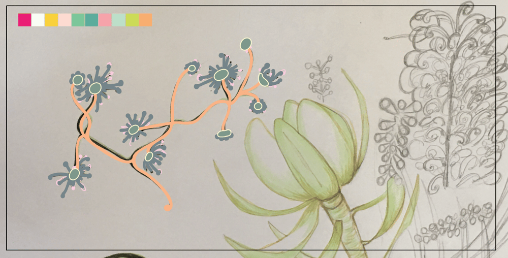 Australian Bush Florals - image 6 - student project
