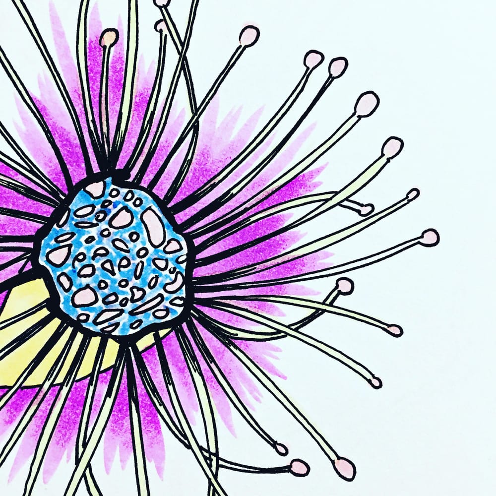 Australian Bush Florals - image 2 - student project