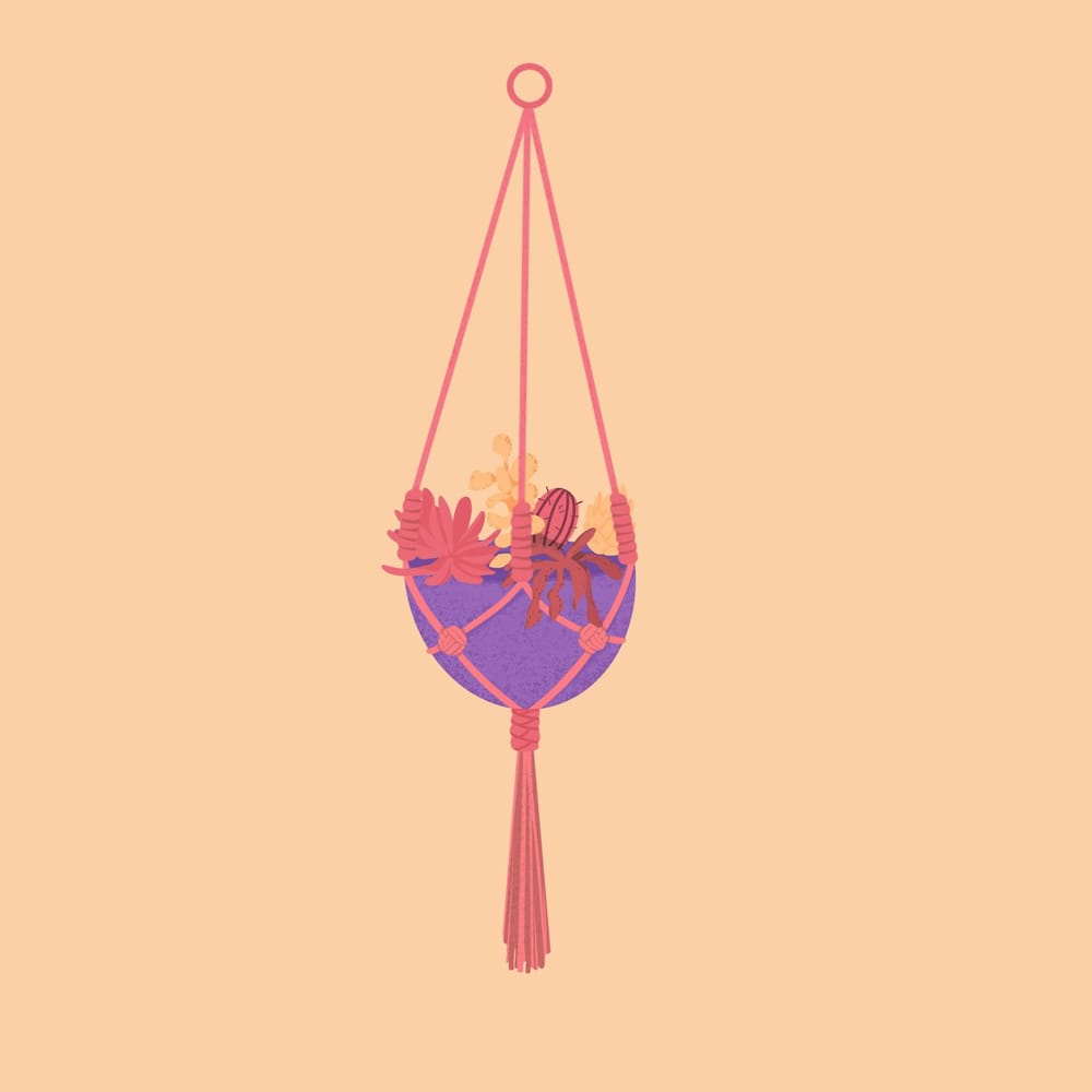 Colour - image 2 - student project