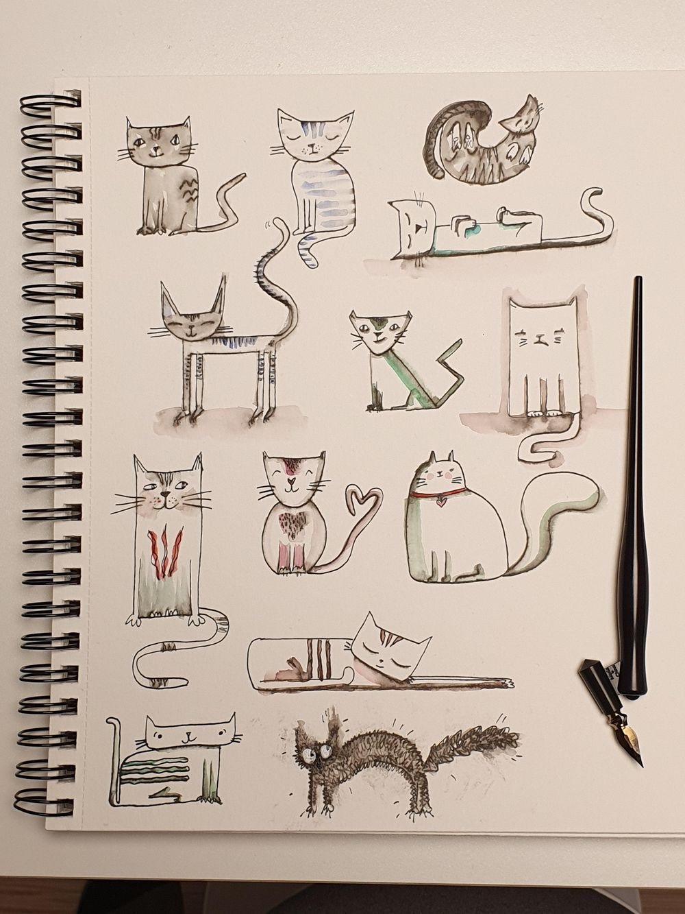 cat doodles - image 1 - student project