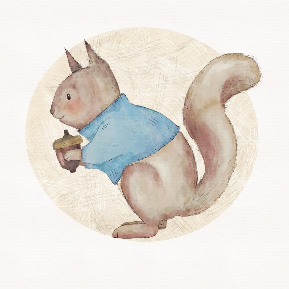 Illustrated squirrel - image 1 - student project