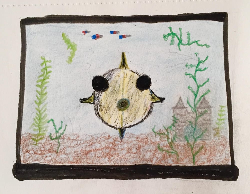 Aquarium: Face to Face - image 2 - student project