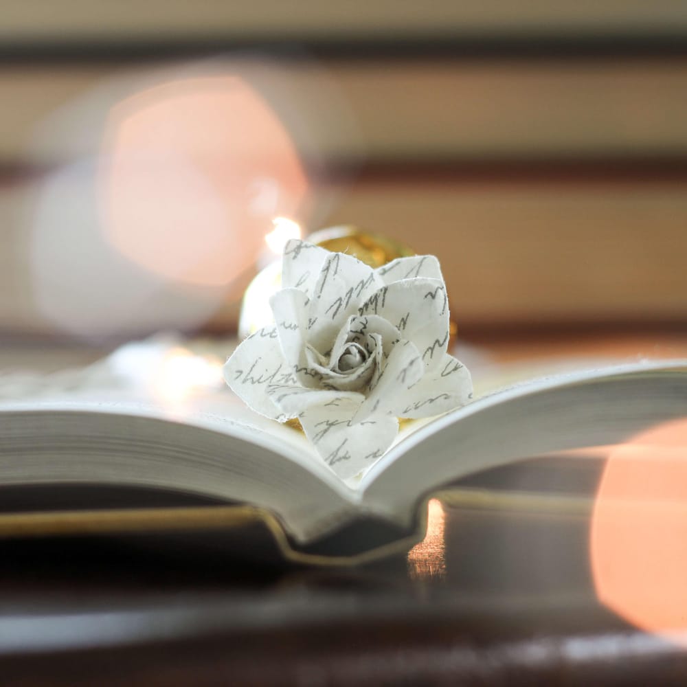 Using creative techniques in photography - image 2 - student project