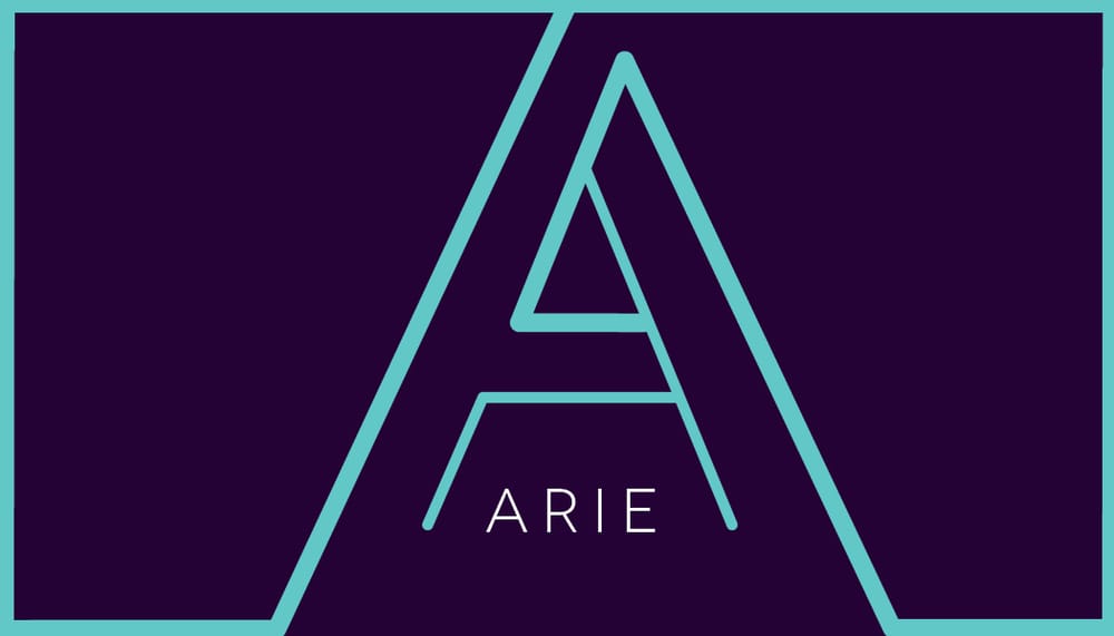 Arie Graphic Designer and Photographer - image 3 - student project