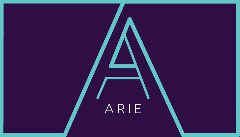Arie Graphic Designer and Photographer - image 1 - student project