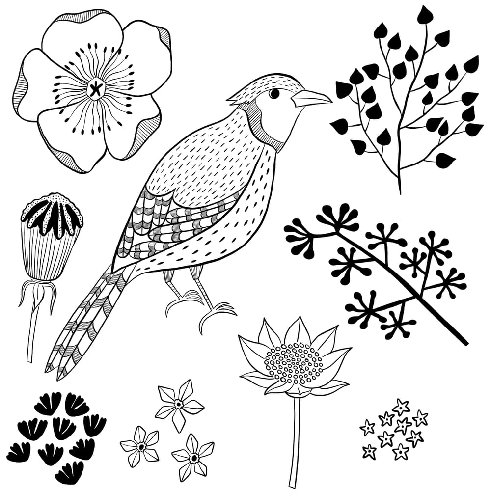 Bluebird - image 2 - student project