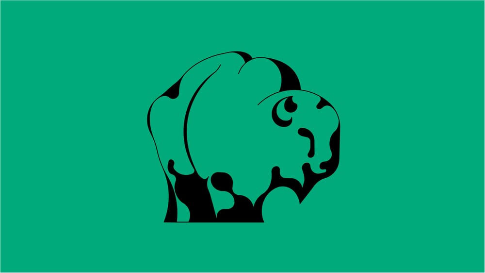 Bison - image 5 - student project