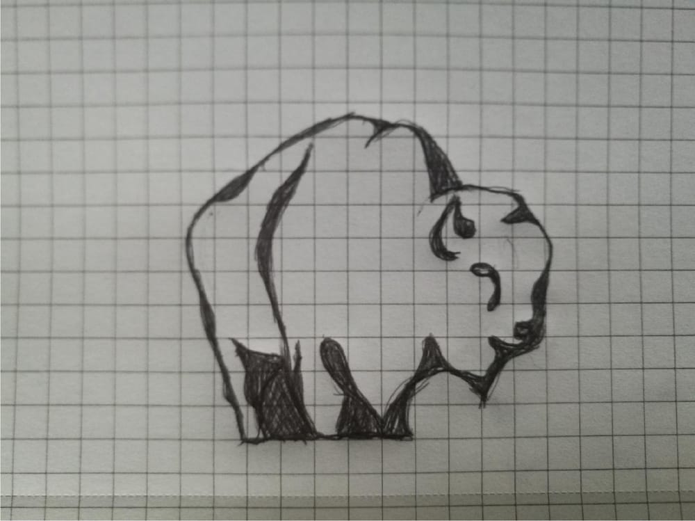 Bison - image 1 - student project
