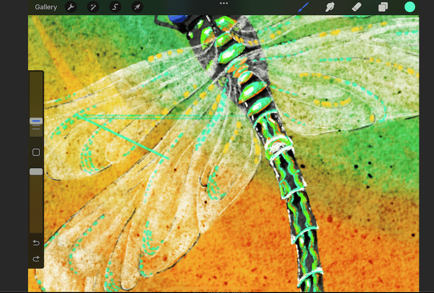 Dragonfly Journey - image 4 - student project