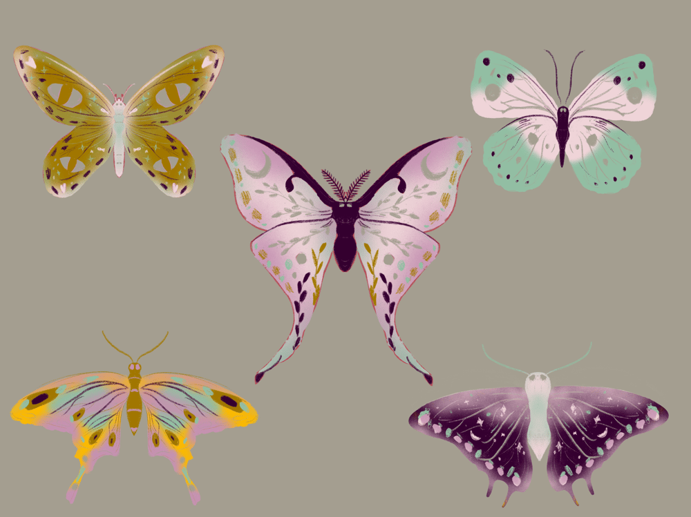 Butterfly mini gallery exercise - image 1 - student project