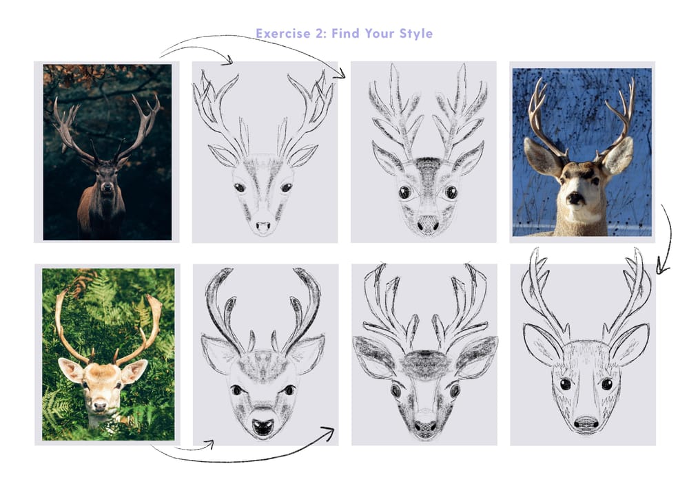 Deer symmetry illustration - image 5 - student project