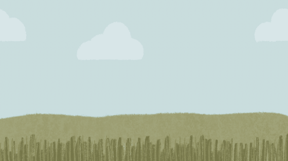 Blooming buttercups animation - image 1 - student project