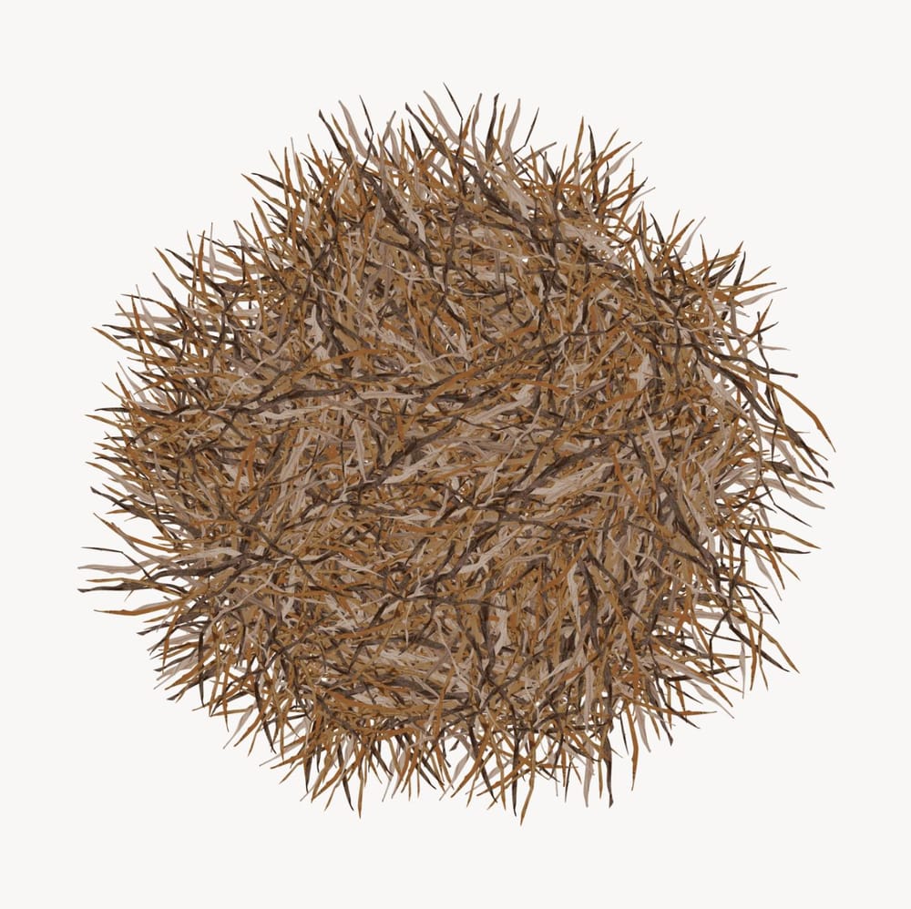 Nests in Affinity Designer - image 2 - student project