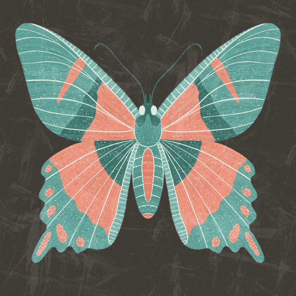 Insect Illustrations - image 2 - student project