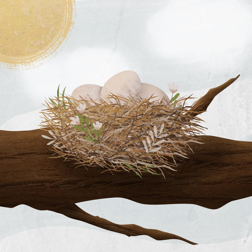 Nests in Affinity Designer - image 4 - student project