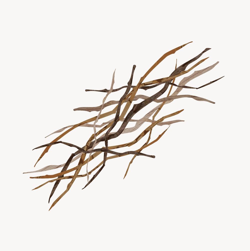Nests in Affinity Designer - image 1 - student project