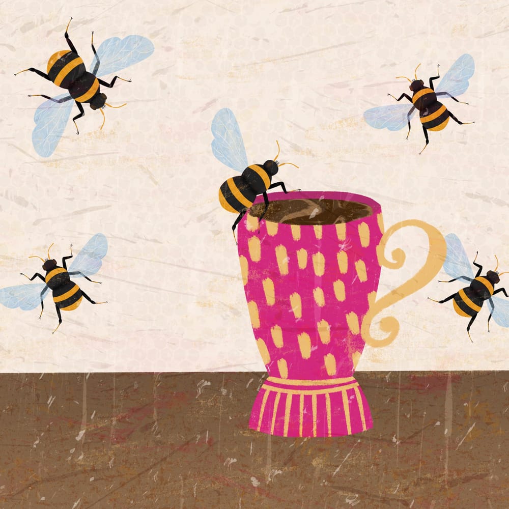 Insect Illustrations - image 7 - student project