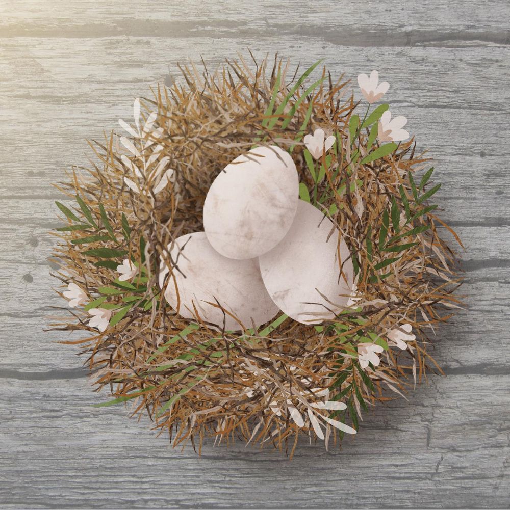 Nests in Affinity Designer - image 3 - student project