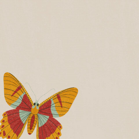 Insect Illustrations - image 5 - student project