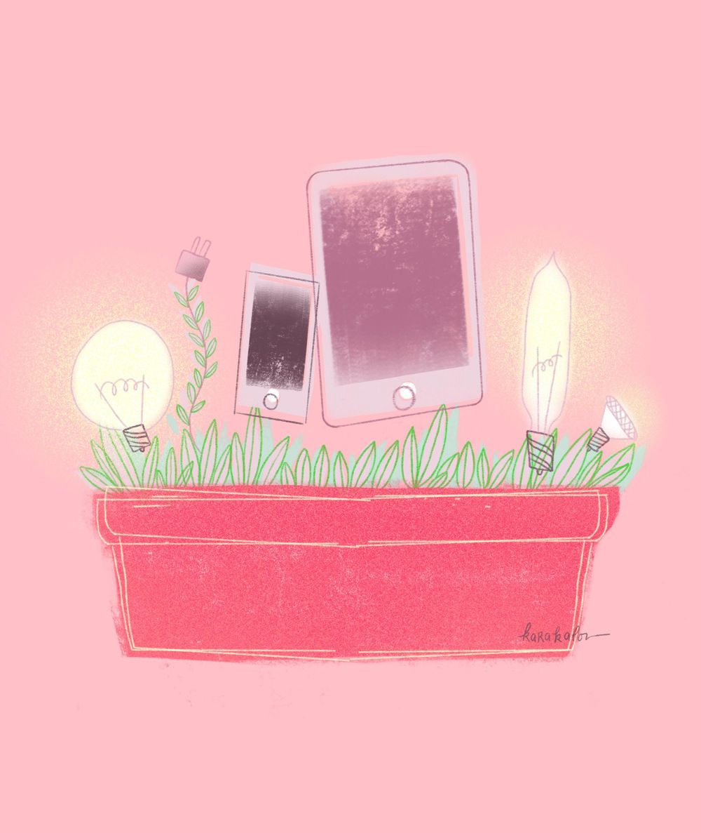 Flower Power - image 1 - student project