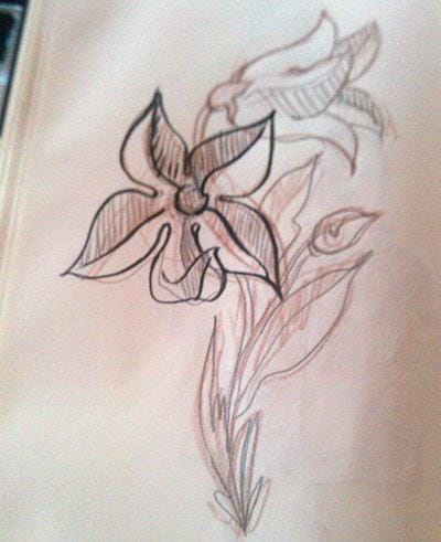 #1: Turtles or Poisonous Plants. - image 1 - student project