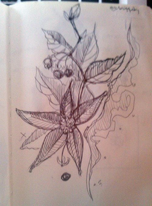 #1: Turtles or Poisonous Plants. - image 4 - student project