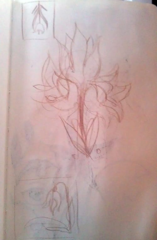 #1: Turtles or Poisonous Plants. - image 2 - student project