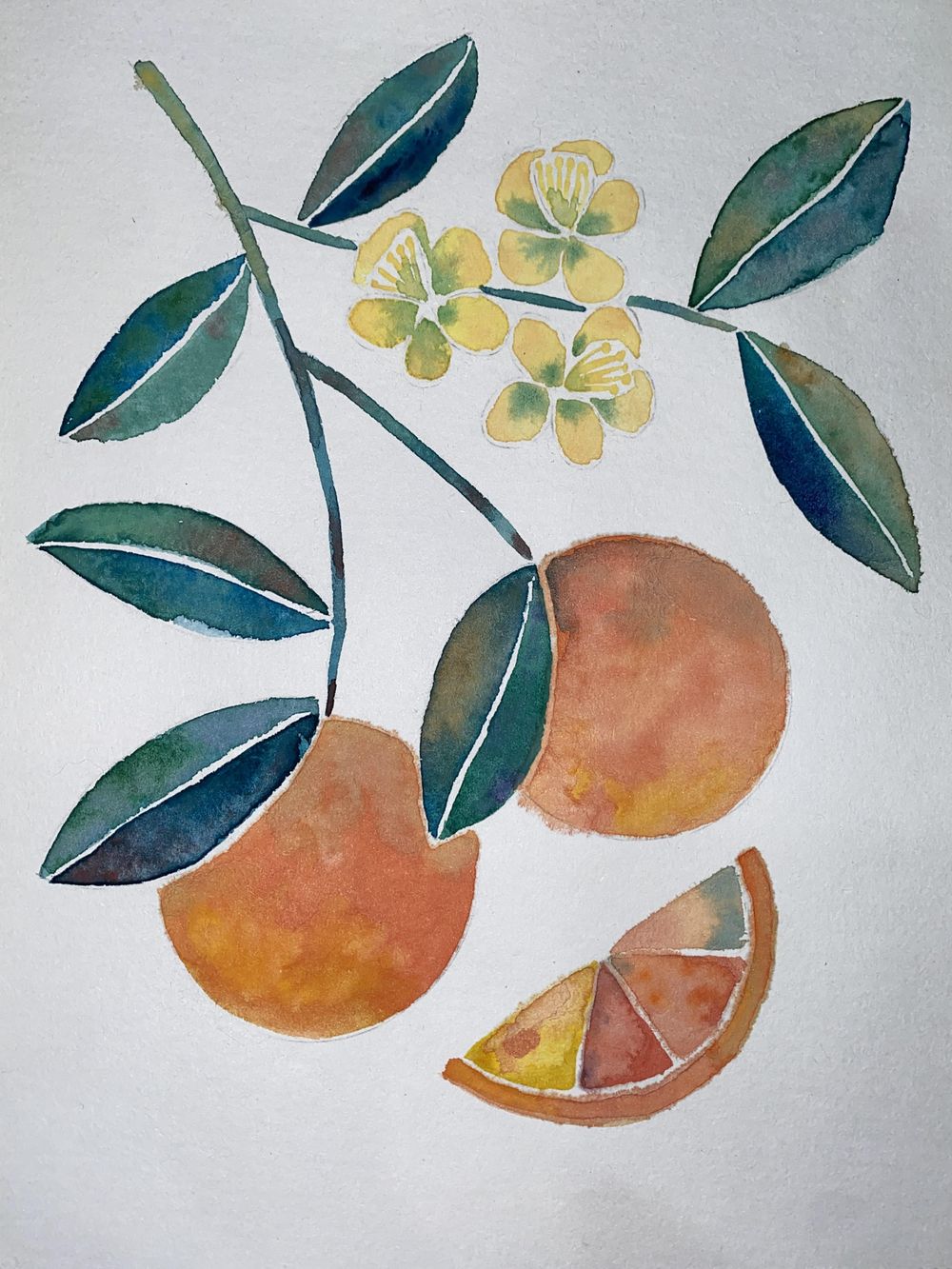 Citrus and Watermelon - image 2 - student project