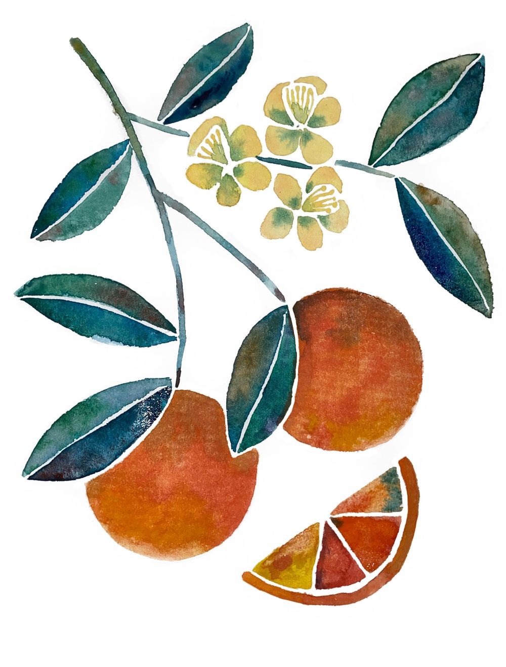 Citrus and Watermelon - image 1 - student project