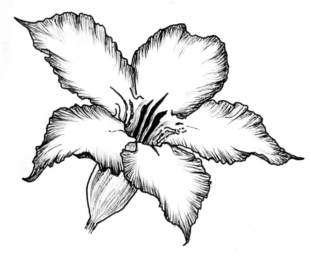 Ink flower - image 1 - student project
