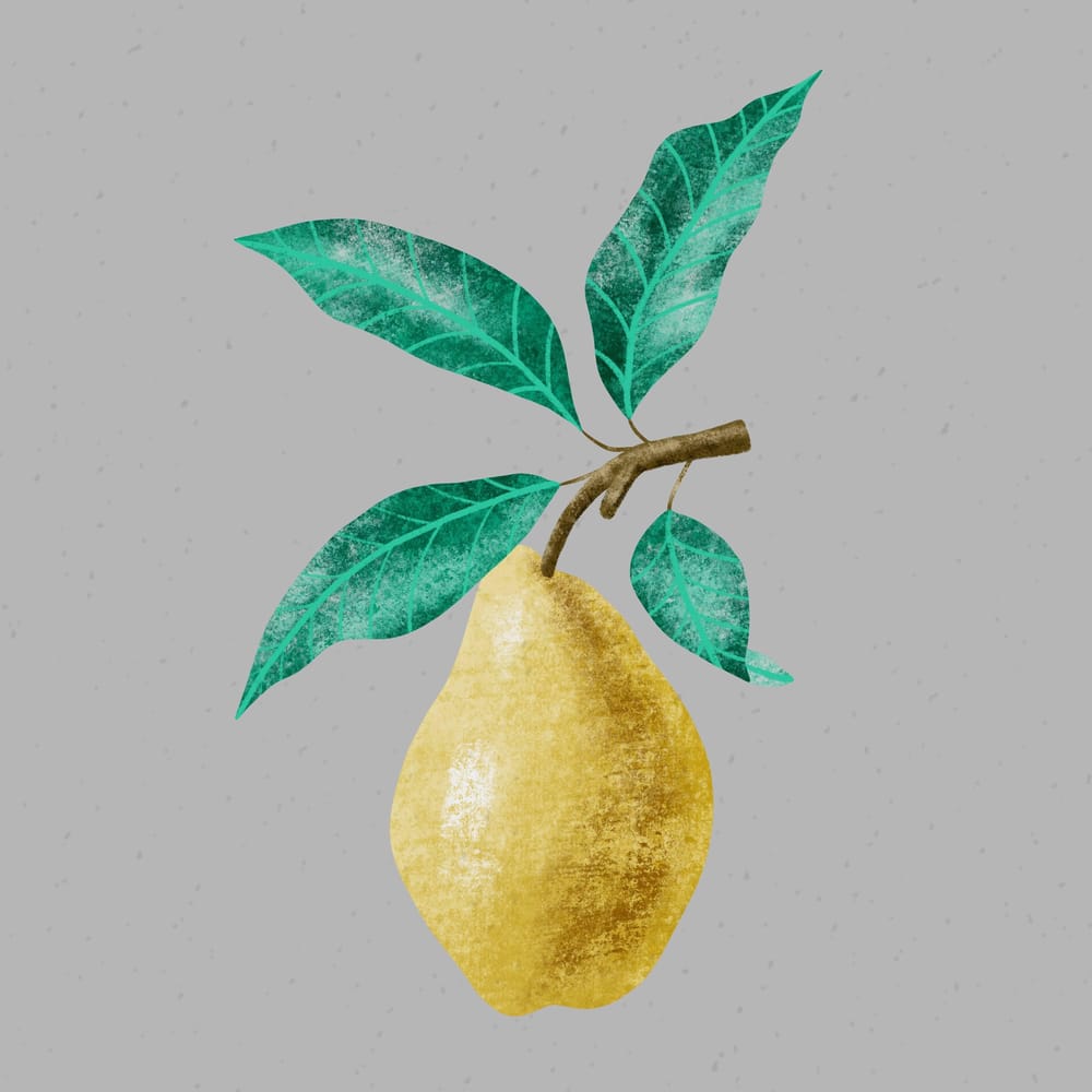 Layered Texture and Color in Procreate - image 2 - student project