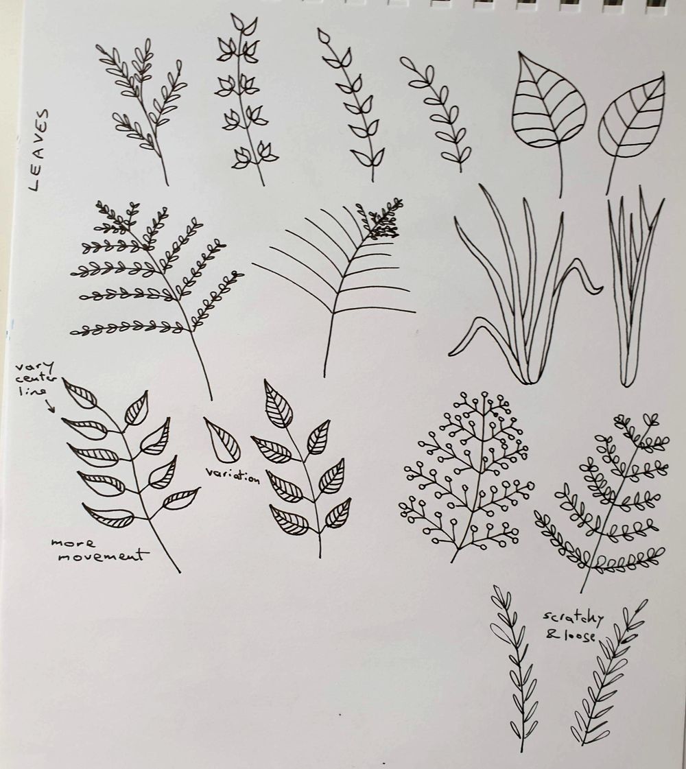 Botanical Line Drawing - image 2 - student project