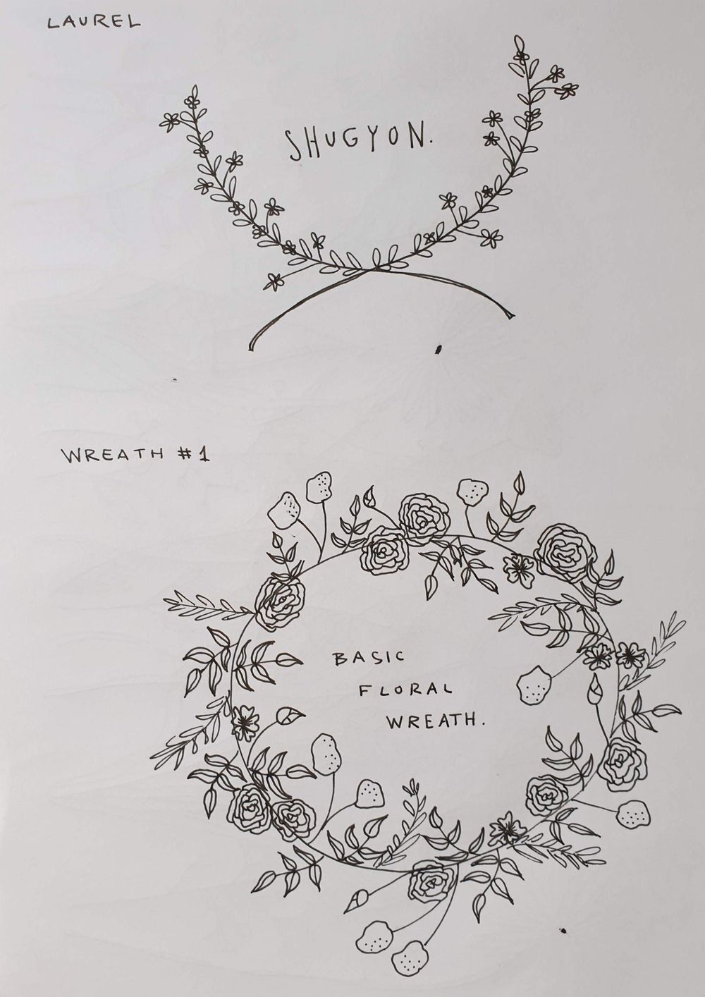 Botanical Line Drawing - image 3 - student project