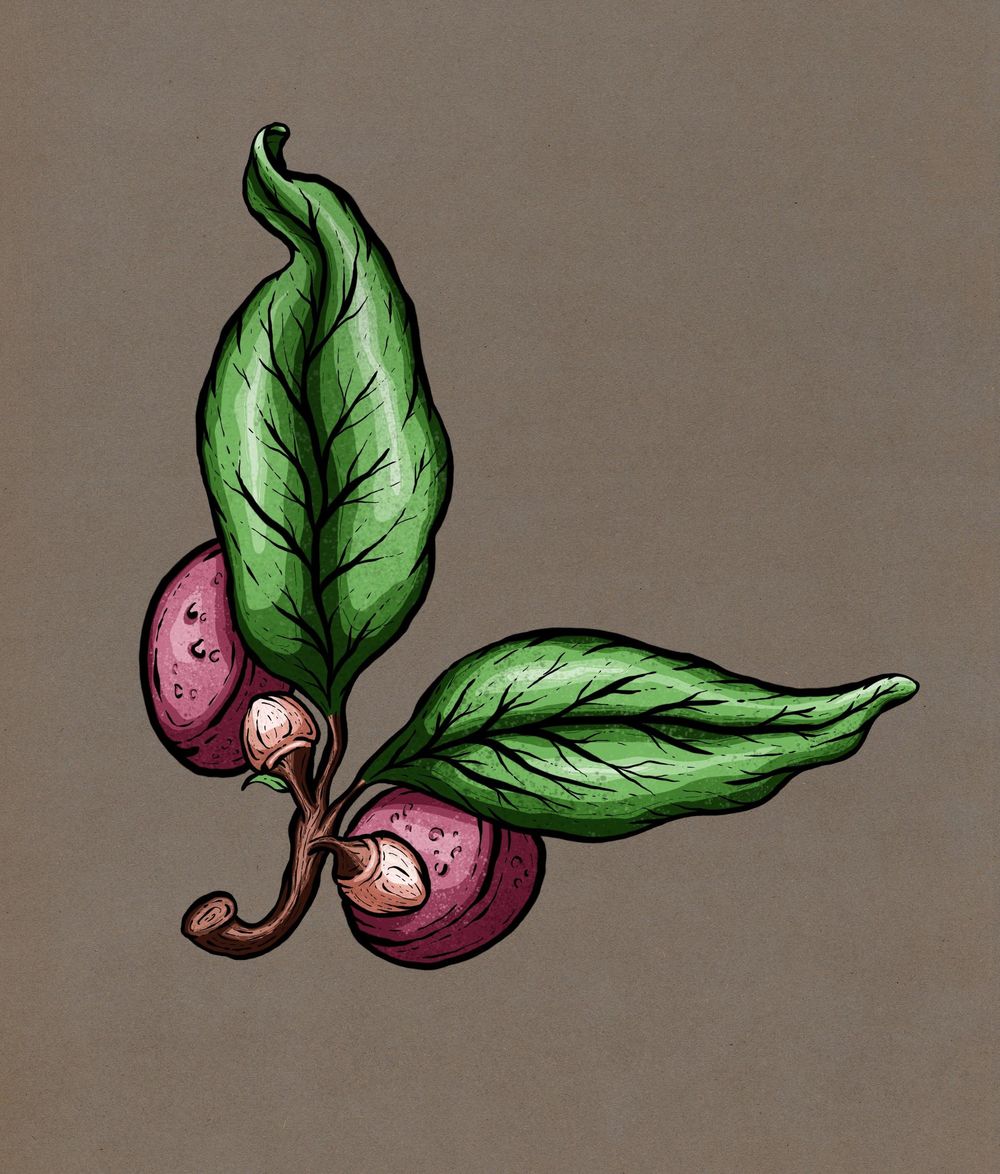 Procreate Inking and Shading Techniques - image 6 - student project