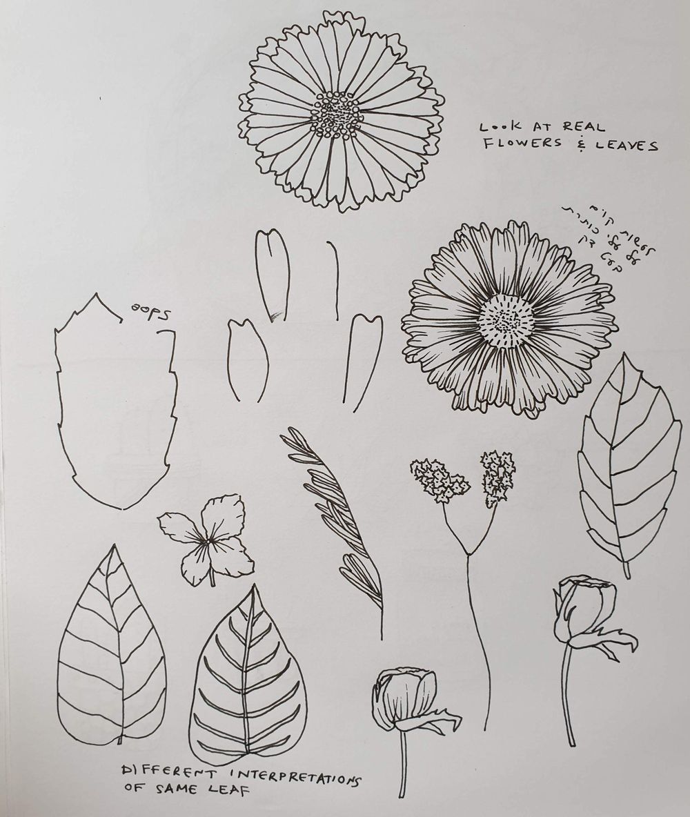 Botanical Line Drawing - image 5 - student project